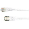 XANTREX NetworkCable for PROwatt SW Sine Wave Inverters, 25 '