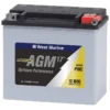WEST MARINE Group PWC AGM Battery for Personal Watercraft, 17.5 Amp Hours