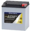 WEST MARINE Group PWC AGM Battery for Personal Watercraft, 26 Amp Hours