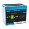 RELION Group 24 RB60 Lithium Deep Cycle Battery, 12V, 60Ah