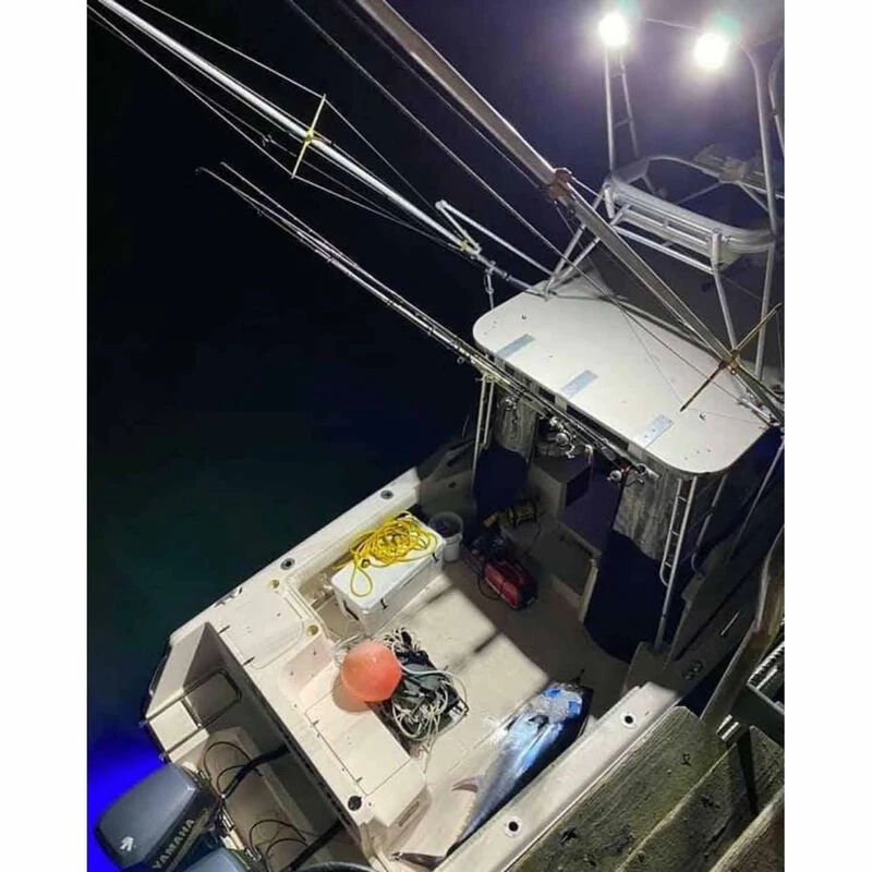 DURABRITE Nano Floodlight, White Housing 3 DURABRITE Nano Floodlight, White Housing - Image 3