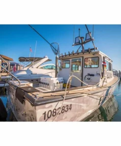 DURABRITE Standard Series Spotlight, White Housing -Marine Electrical Sale 20518098 3