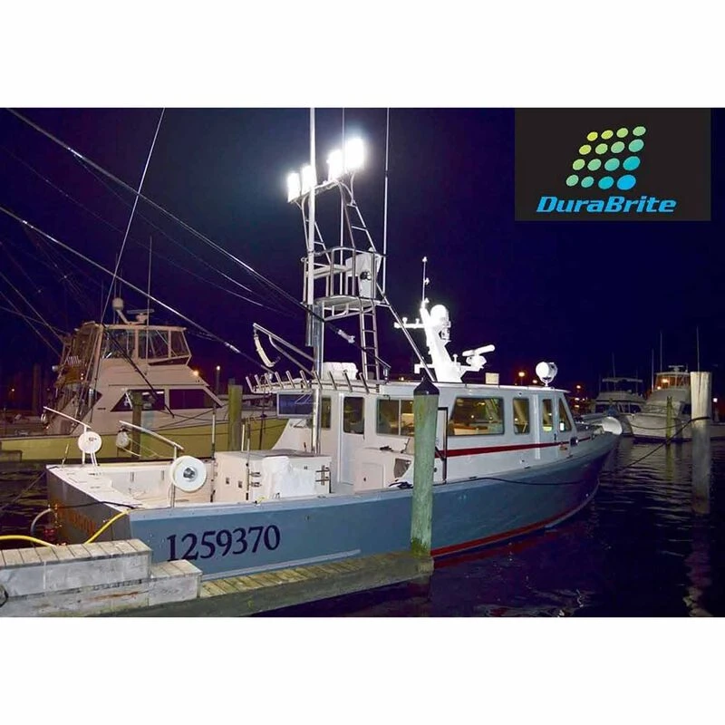 DURABRITE Pro Series Floodlight, White Housing 4 DURABRITE Pro Series Floodlight, White Housing - Image 4