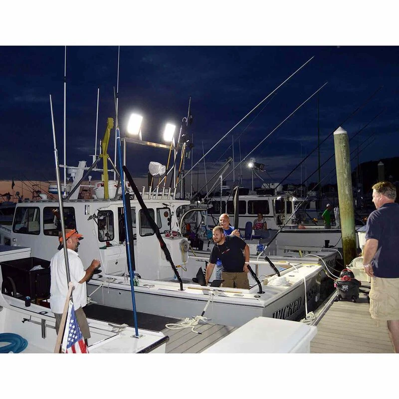 DURABRITE Pro Series Floodlight, Black Housing 2 DURABRITE Pro Series Floodlight, Black Housing - Image 2