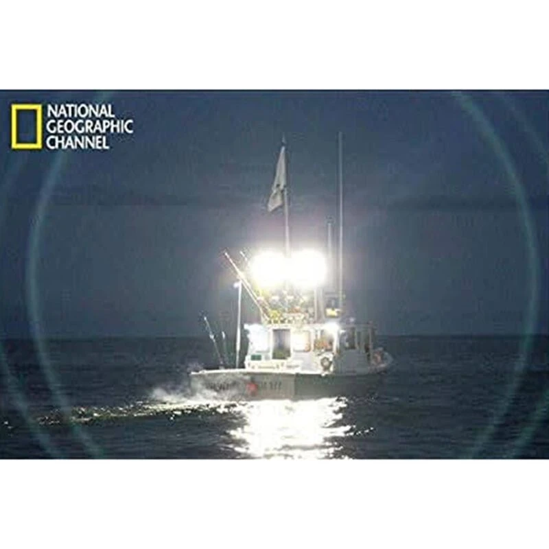 DURABRITE Pro Series Floodlight, Black Housing 3 DURABRITE Pro Series Floodlight, Black Housing - Image 3