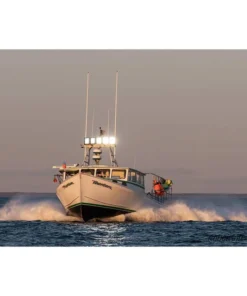 DURABRITE Pro Series Spotlight, Black Housing -Marine Electrical Sale 20518148 3